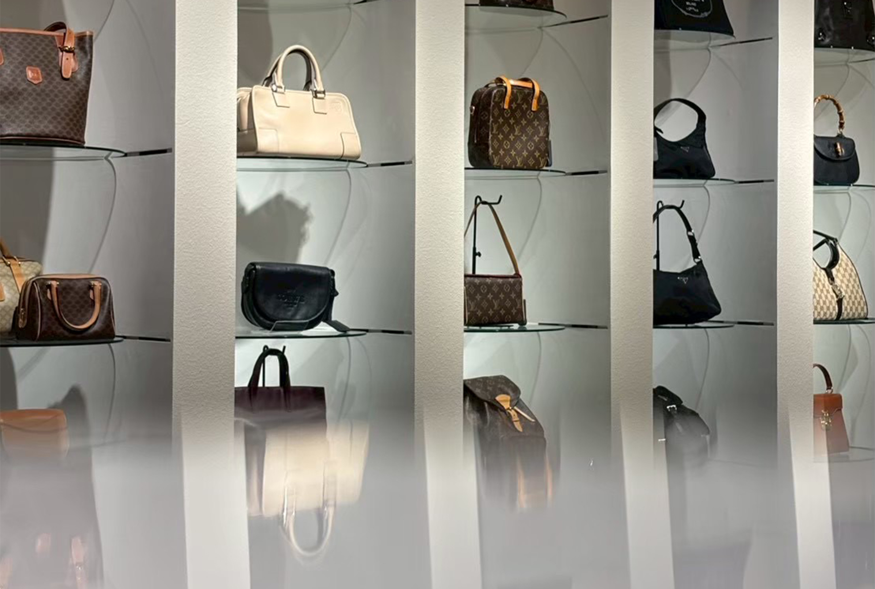 Hedy Online Store Renewal