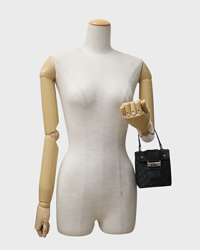 DIOR トロッター柄バニティバッグ | Hedy